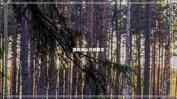 很高興認(rèn)識你英文