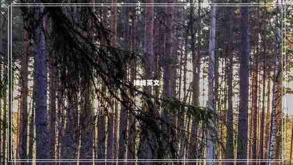 掉線英文