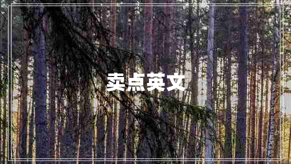 賣點英文
