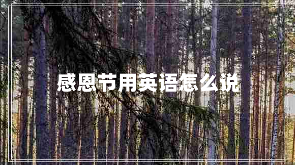 感恩節(jié)用英語怎么說