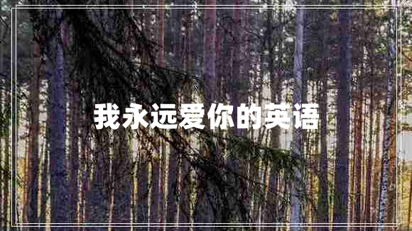 我永遠愛你的英語