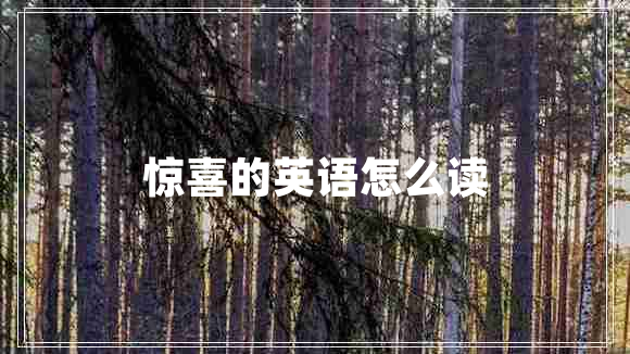 驚喜的英語怎么讀