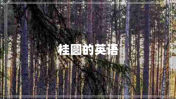 桂圓的英語