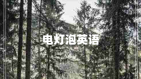 電燈泡英語(yǔ)