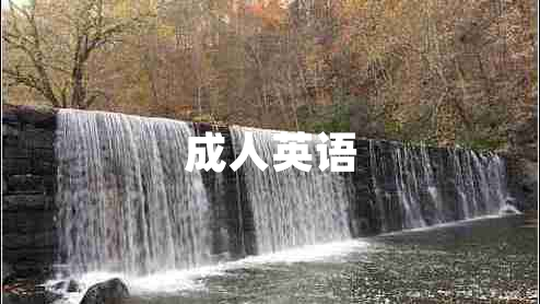 成人英語(yǔ)