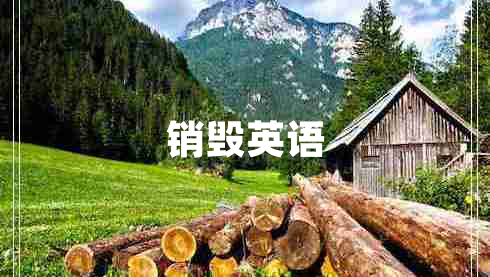 銷毀英語(yǔ)