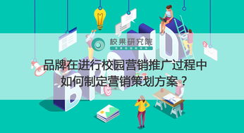 學校網(wǎng)絡(luò)營銷策劃與方案編制