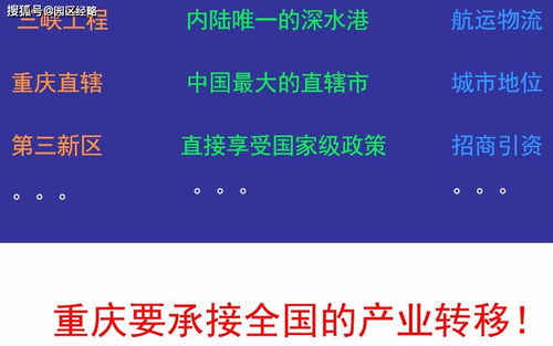 死飛固齒在新鄉(xiāng)市場的營銷策劃方案總結(jié)