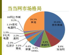 b2c企業(yè)策劃方案--當(dāng)當(dāng)網(wǎng)