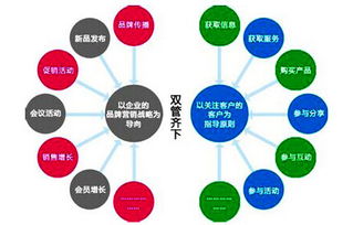 網(wǎng)站運(yùn)營(yíng)策劃方案書(shū)