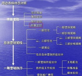 房地產(chǎn)商業(yè)營(yíng)銷策劃方案