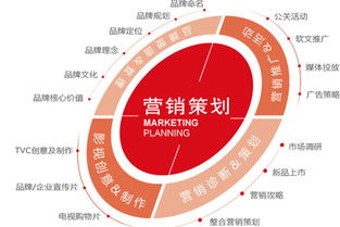 藏茶營銷策劃方案