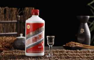 國酒茅臺(tái)品鑒會(huì)活動(dòng)策劃方案ppt