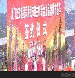 廈門樓盤活動(dòng)策劃方案