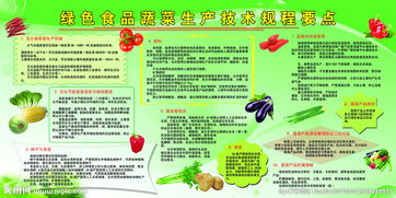 蔬菜展覽項(xiàng)目策劃方案