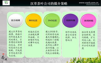 互聯(lián)網(wǎng)項(xiàng)目策劃方案