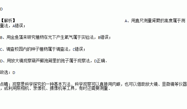 觀察法的策劃方案