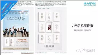 小米網(wǎng)絡營銷策劃方案