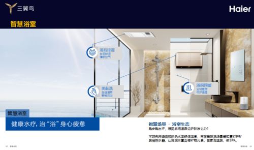 家裝協(xié)會策劃方案