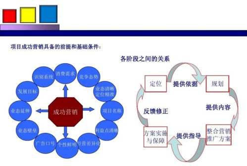 甲殼蟲營銷策劃方案