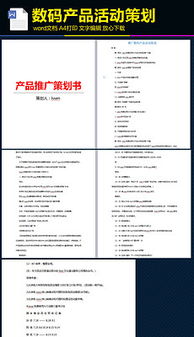 產(chǎn)品營(yíng)銷策劃方案格式