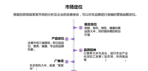 成都天樂(lè)城北項(xiàng)目營(yíng)銷策劃方案