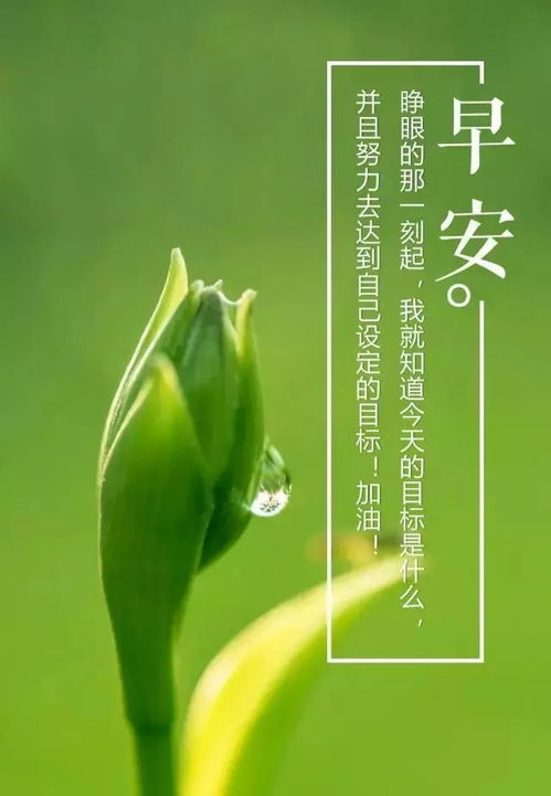 勵(lì)志早安心語(yǔ)正能量句子簡(jiǎn)短