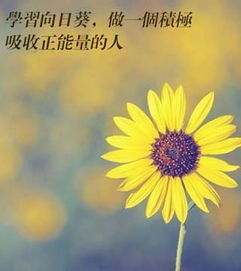 學習回來后的正能量句子