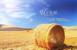 日久見人心,句子,能量