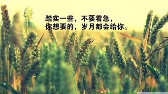 早上起來(lái)正能量勵(lì)志的句子
