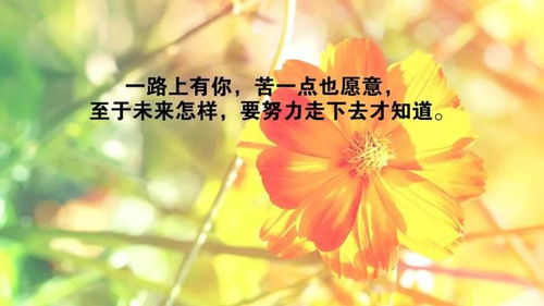 早安勵志正能量的句子,好心態(tài)早安正能量句子,早安語錄正能量的句子