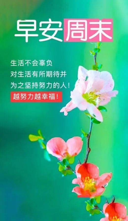 心向陽(yáng)光正能量的句子早安,早安積極陽(yáng)光正能量的簡(jiǎn)短句子,早安勵(lì)志陽(yáng)光正能量的句子簡(jiǎn)短