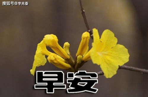 正能量滿滿的句子經(jīng)典短句,早上起床正能量滿滿的句子,正能量滿滿的句子經(jīng)典長(zhǎng)句