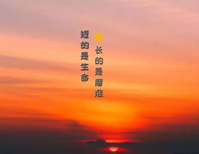 句子,能量,可愛,陽光