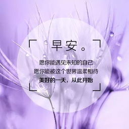 細(xì)節(jié)的正能量句子,重在細(xì)節(jié)正能量句子,關(guān)于堅(jiān)持的正能量句子
