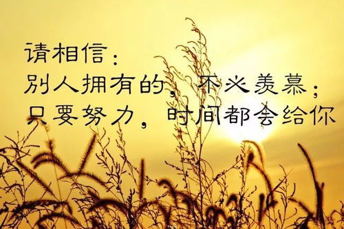 手藝人,句子,能量