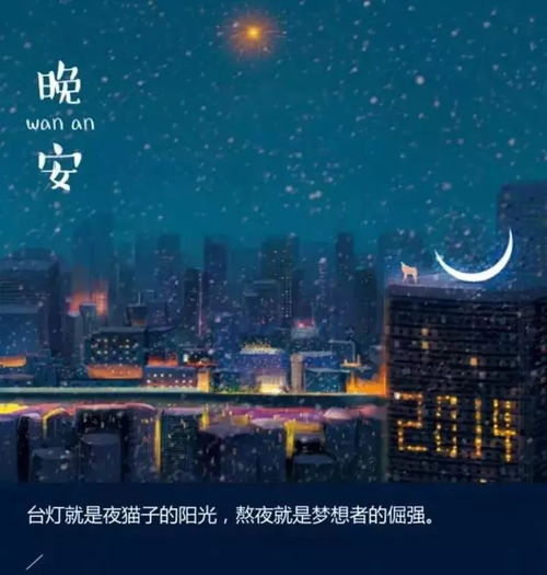 午夜雞湯正能量的句子