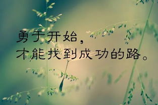 早安,簡短,句子,能量