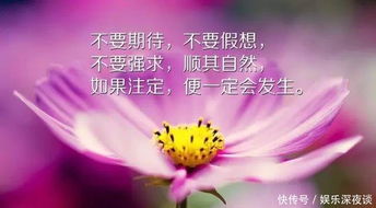 句子,能量,心靈雞湯,女人