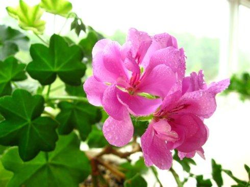 護(hù)膚品發(fā)圈句子正能量