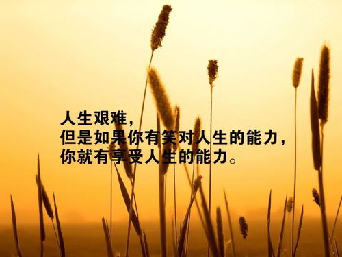 人心,句子,挫折,激勵(lì)