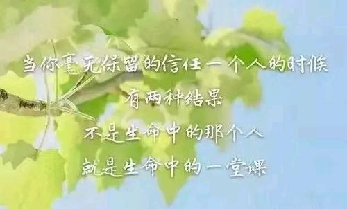 英語正能量的句子經(jīng)典語句,正能量英語短句子大全,英語正能量優(yōu)美句子