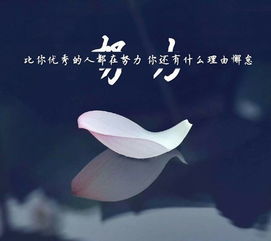 高考,短句,句子,勵(lì)志
