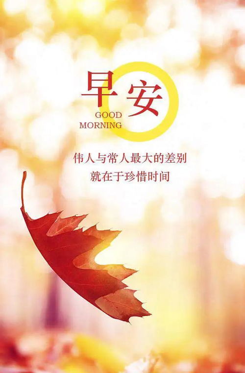 早安勵(lì)志心情正能量的句子,早安的正能量的句子說說心情,早安勵(lì)志正能量的句子