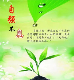關(guān)于堅(jiān)持的正能量句子,懂得感恩的正能量句子,新的開(kāi)始新的起點(diǎn)正能量句子