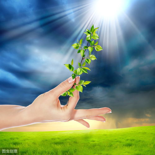 向上陽光正能量的句子