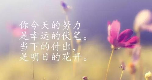 早安勵(lì)志正能量滿(mǎn)滿(mǎn)的句子朋友圈,早安勵(lì)志正能量滿(mǎn)滿(mǎn)的句子簡(jiǎn)短,早安勵(lì)志正能量滿(mǎn)滿(mǎn)的句子短語(yǔ)