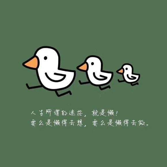 關于正能量的排比句子,拼搏努力正能量的句子,努力優(yōu)秀的正能量句子