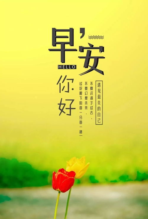 周末早安勵志正能量的句子
