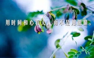 堅(jiān)持工作勵(lì)志的句子正能量